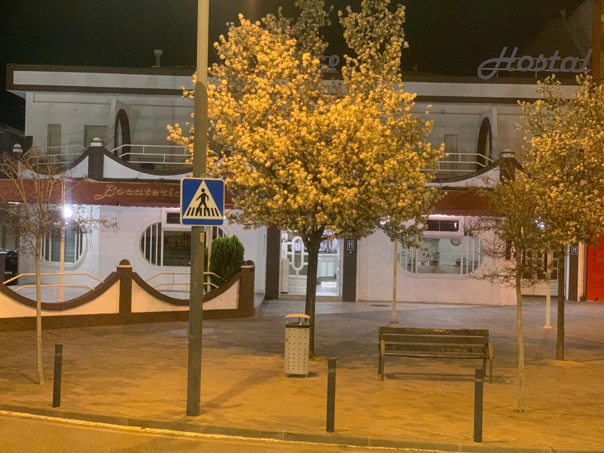Hostal-Cafe Gutgreco Сонсека Экстерьер фото